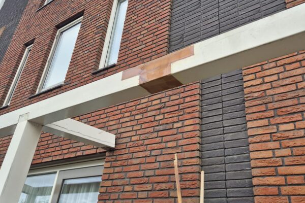 WhatsApp Image 2025-12-12 at 10.42.47